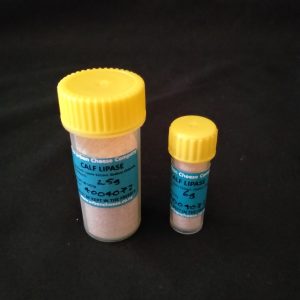 Calf Lipase