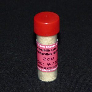 Lactobacillus helveticus