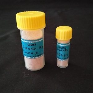 Lamb Lipase