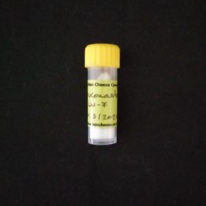 Leuconostoc - Tube
