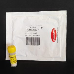 White Mold - Penicillium candidum PC C2