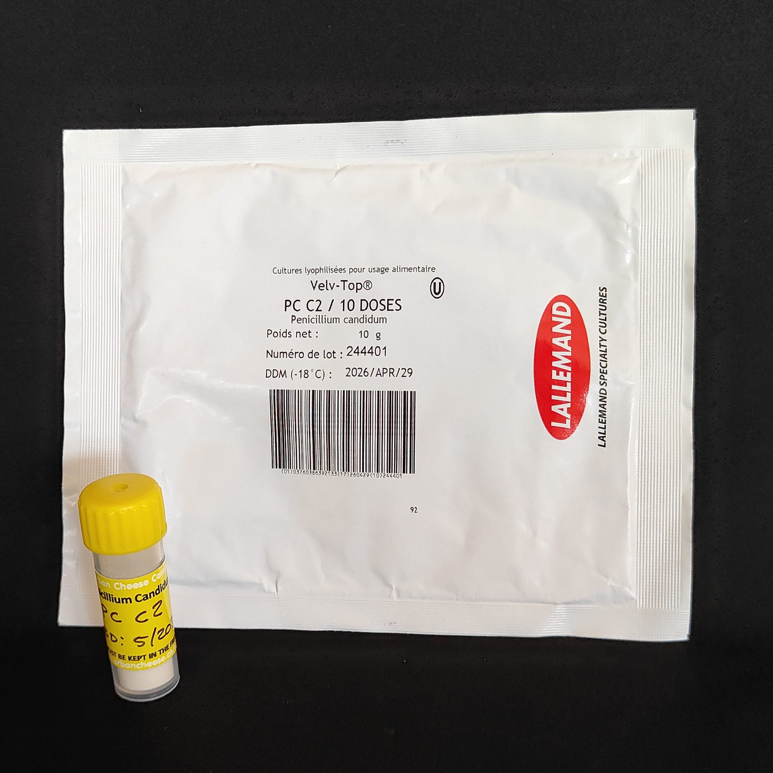 White Mold - Penicillium candidum PC C2